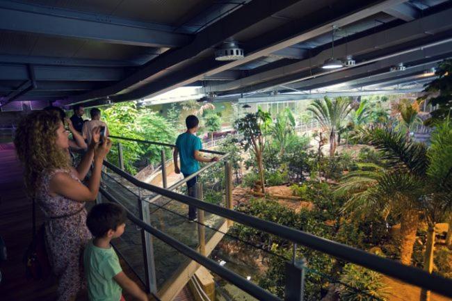 Todosierranevada Zona Baja - Edificio Alhambra - Junto A Los Telecabinas Сиера Невада Екстериор снимка
