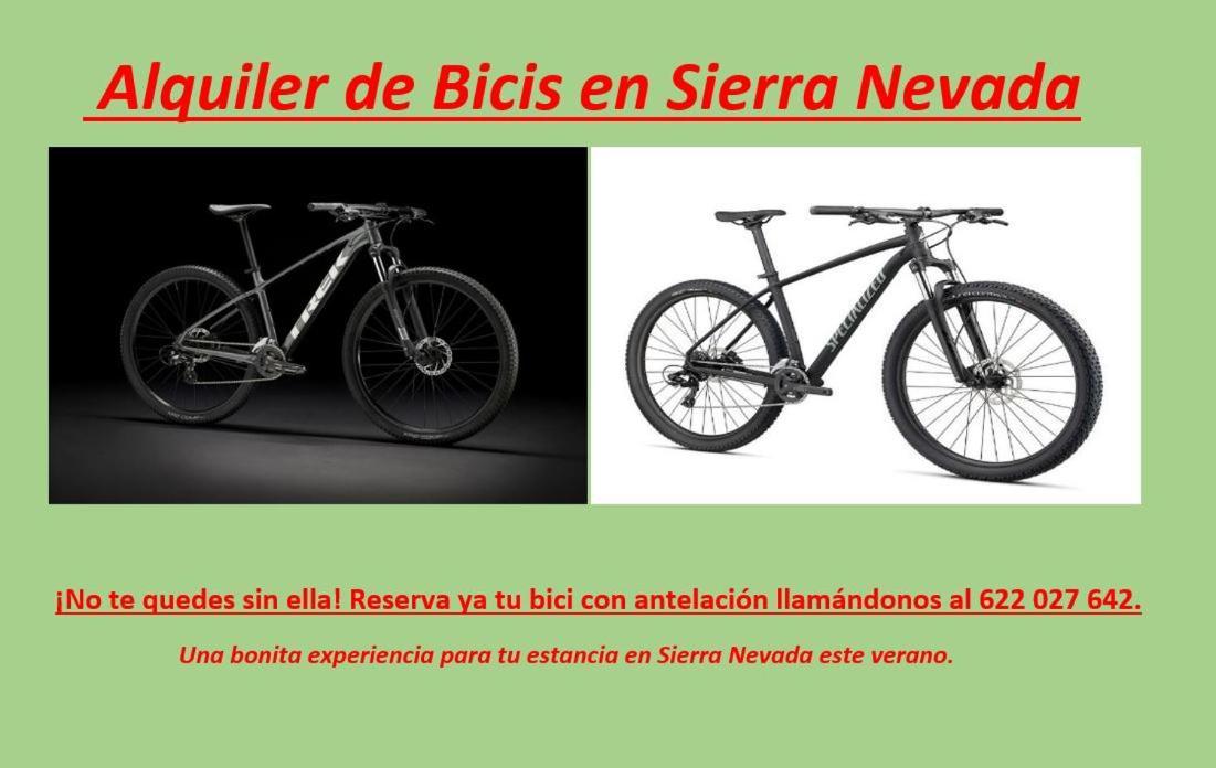 Todosierranevada Zona Baja - Edificio Alhambra - Junto A Los Telecabinas Сиера Невада Екстериор снимка